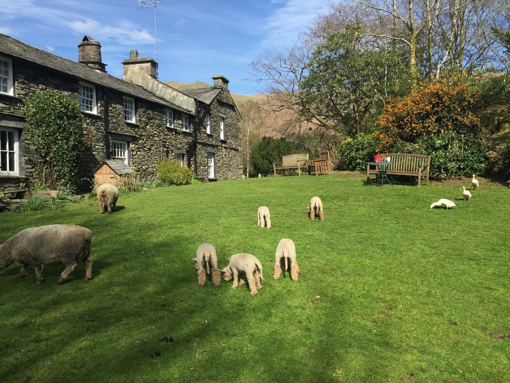 Thorney How Ambleside Exterior foto